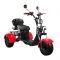 Электроскутер CityCoco SkyBoard Trike BR40-3000 PRO FAST 