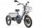 Трехколесный электровелосипед GREEN CITY e-ALFA Trike